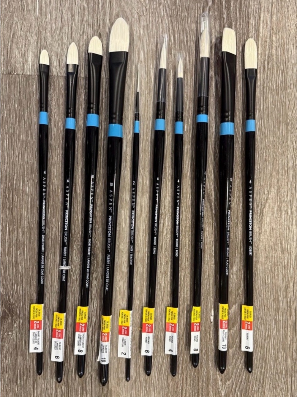 NEW Aspen Princeton Professional PaintBrush Lot of 10- Assorted Shapes & Sizes